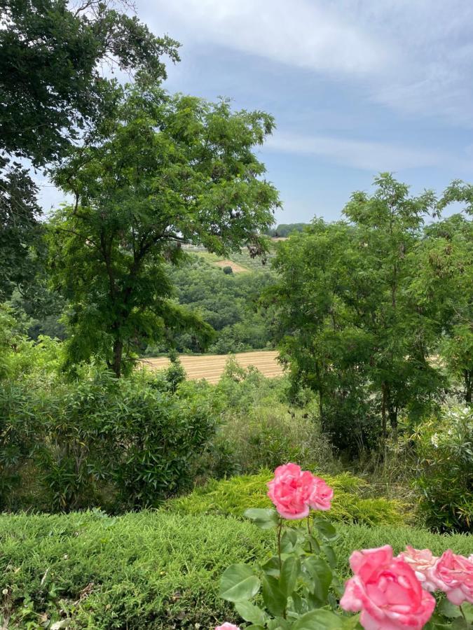 Il Nido Della Colombaia Bed & Breakfast San Nicola Manfredi Luaran gambar